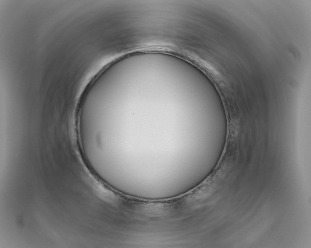 X0000111011470200906261509