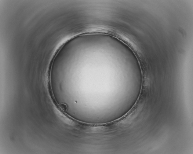X0000111011471200906261509