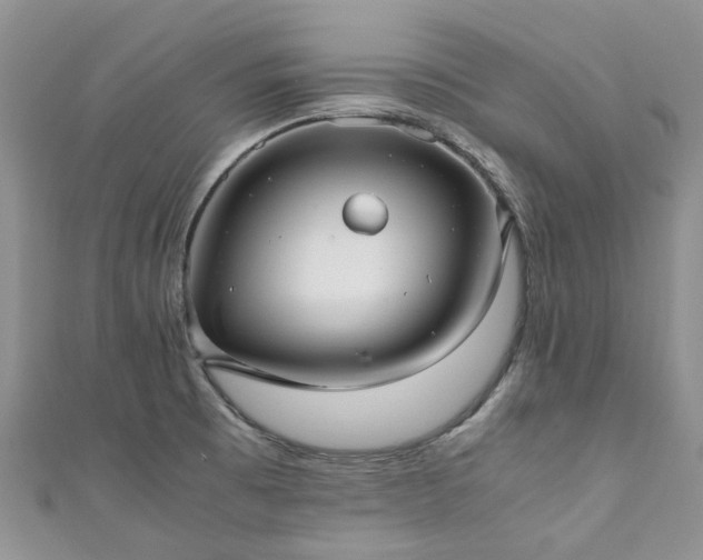 X0000111011473200906261509