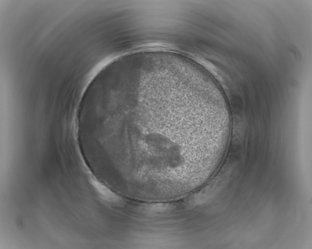 X0000111011474200906261509