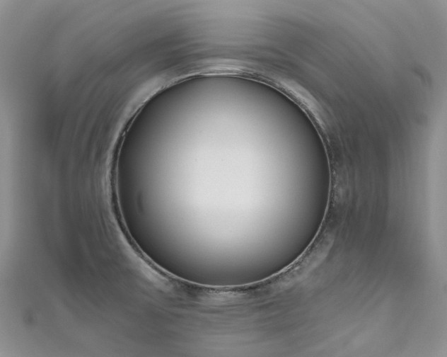 X0000111011475200906261509