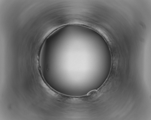 X0000111011476200906261509