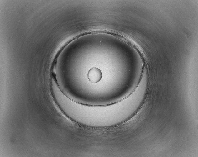 X0000111011477200906261509