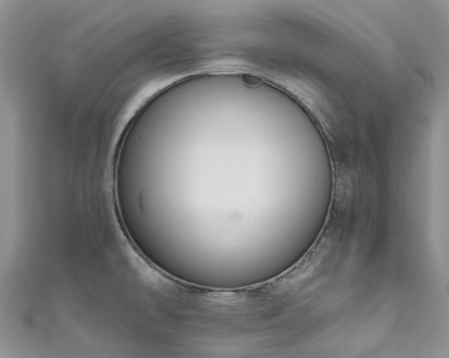 X0000111011478200906261509