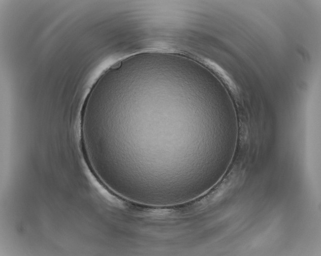 X0000111011479200906261509