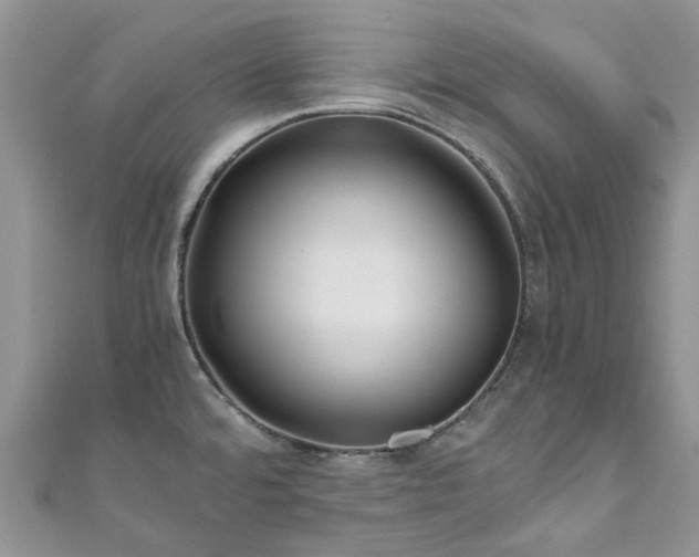 X0000111011480200906261509