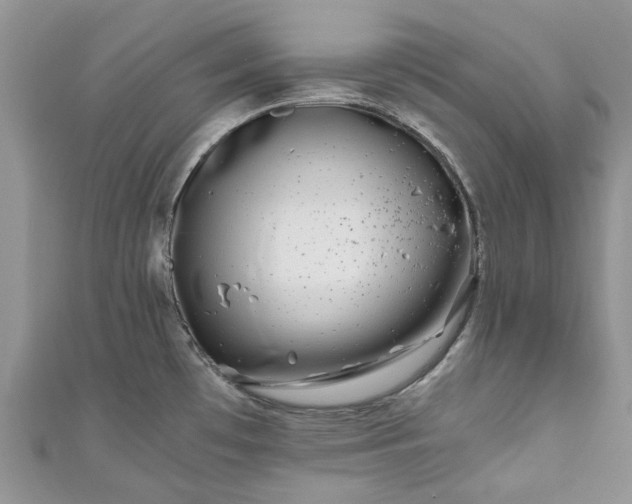 X0000111011481200906261509
