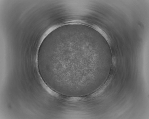 X0000111011482200906261509