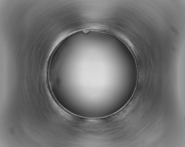 X0000111011483200906261509