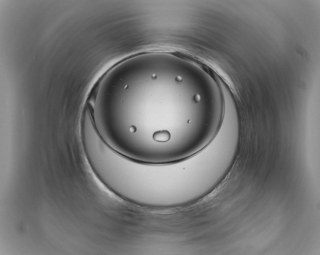 X0000111011484200906261509