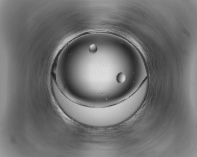 X0000111011485200906261509