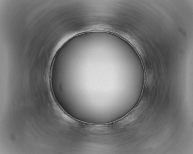 X0000111011486200906261509