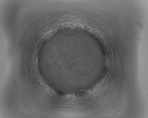 X0000111011489200906261509