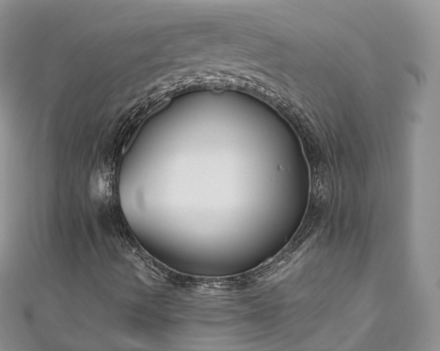 X0000111011490200906261509