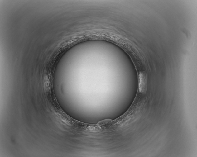 X0000111011491200906261509
