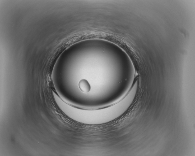 X0000111011492200906261509