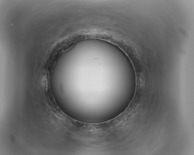 X0000111011493200906261509