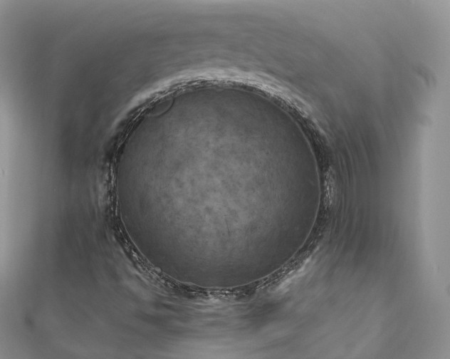 X0000111011494200906261509