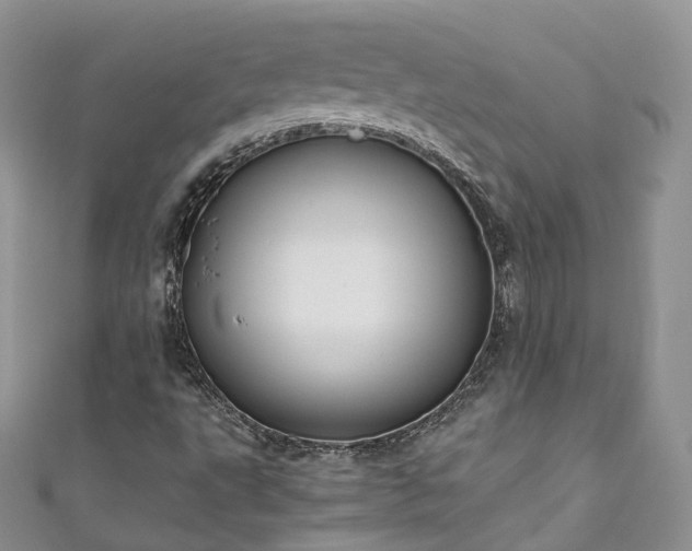 X0000111011495200906261509