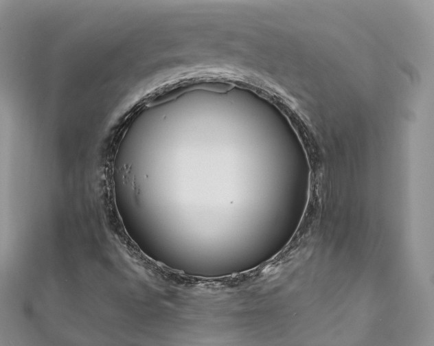 X0000111011496200906261509