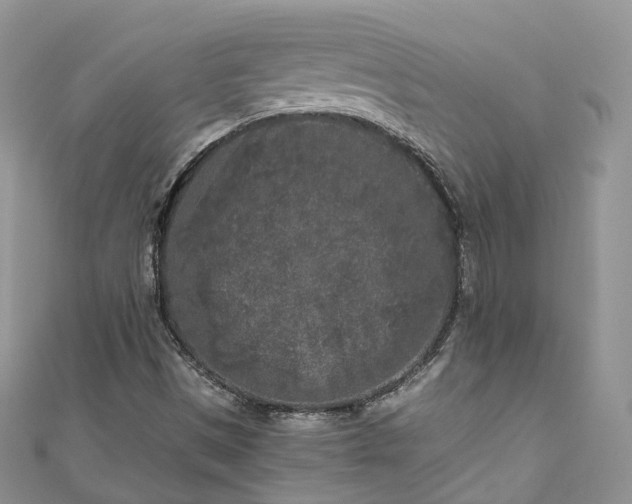 X0000111011497200906261509
