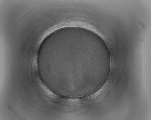 X0000111011498200906261509