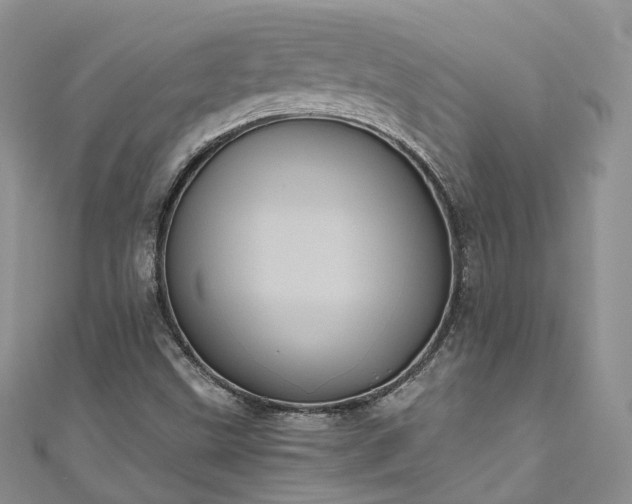 X0000111011499200906261509