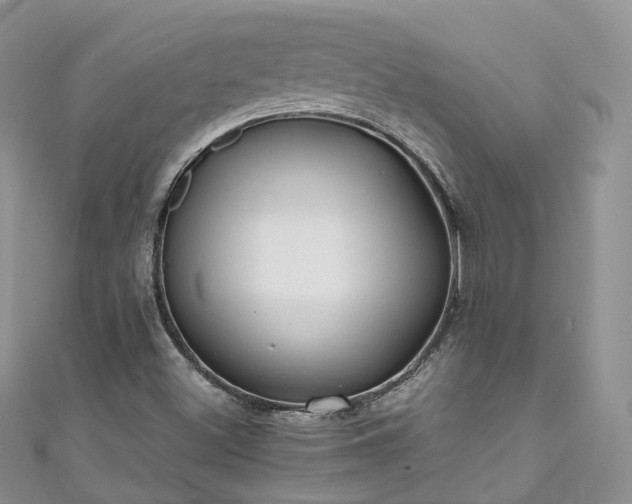 X0000111011500200906261509