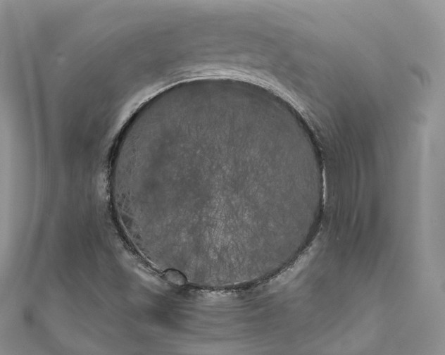 X0000111011501200906261509