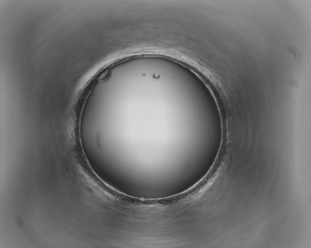 X0000111011502200906261509