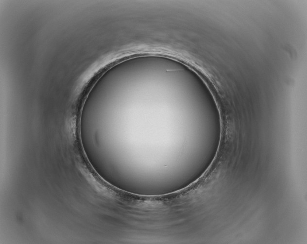 X0000111011503200906261509