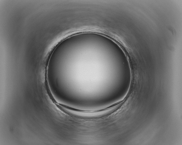 X0000111011504200906261509