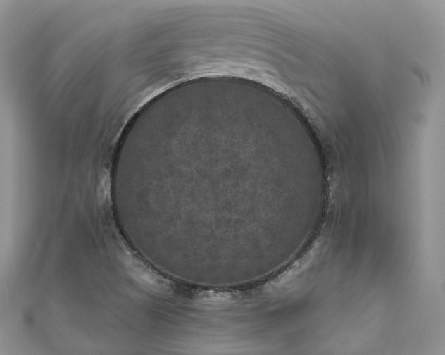 X0000111011505200906261509