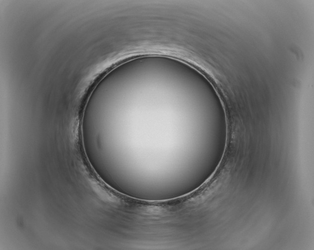 X0000111011507200906261509