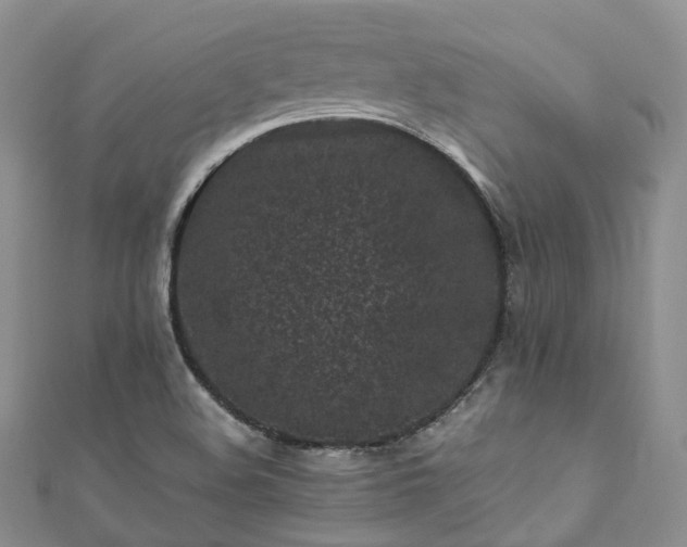 X0000111011508200906261509