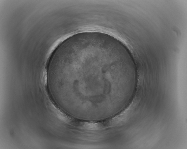 X0000111011509200906261509