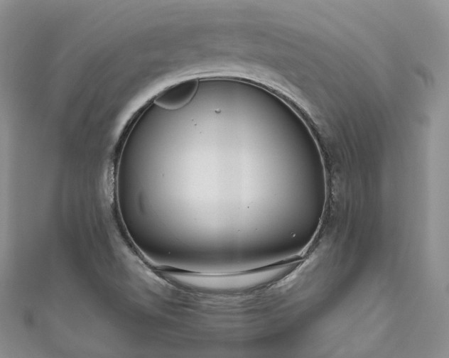 X0000111011510200906261509