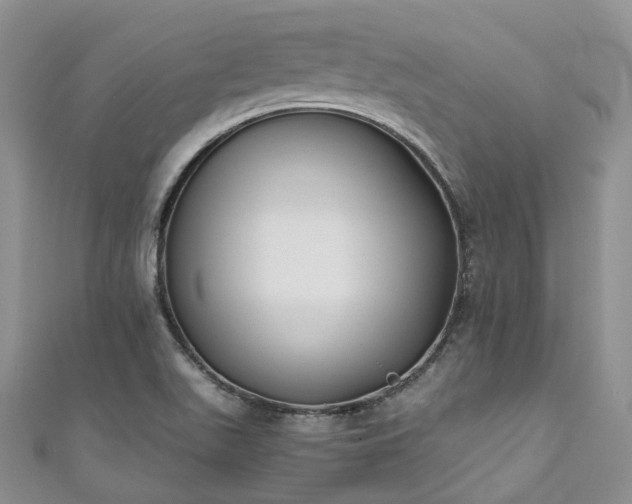 X0000111011511200906261509