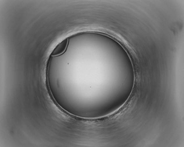X0000111011512200906261509