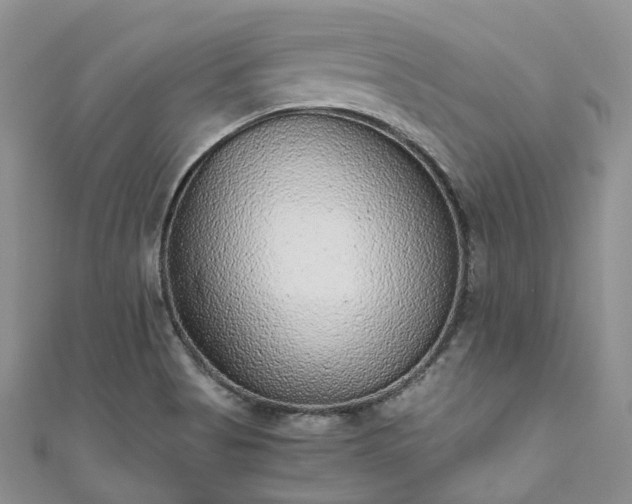 X0000111011513200906261509
