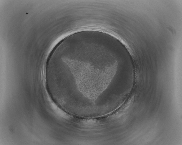 X0000111011515200906261509
