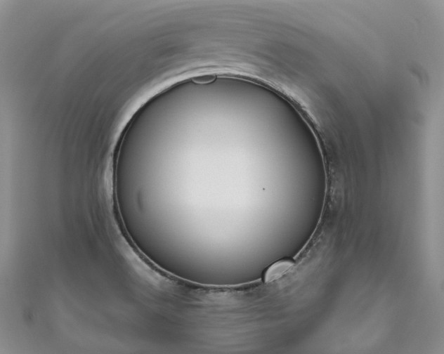 X0000111011516200906261509