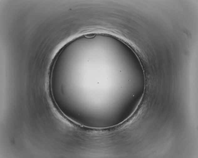 X0000111011518200906261509