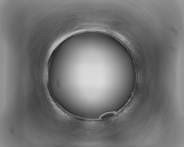 X0000111011520200906261509