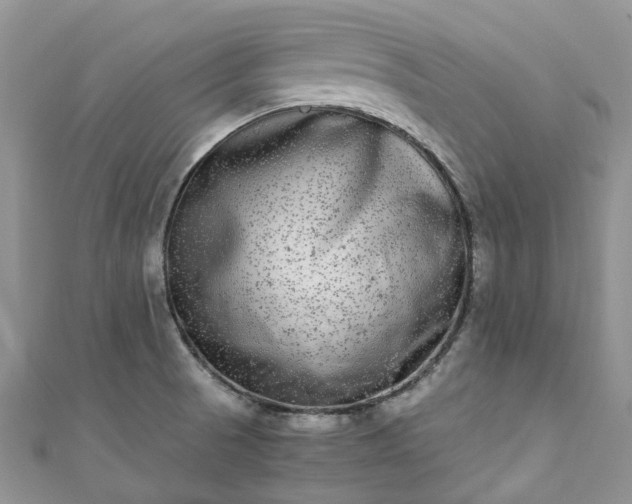 X0000111011521200906261509