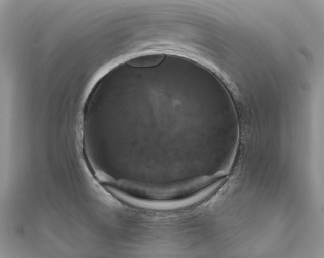 X0000111011522200906261509