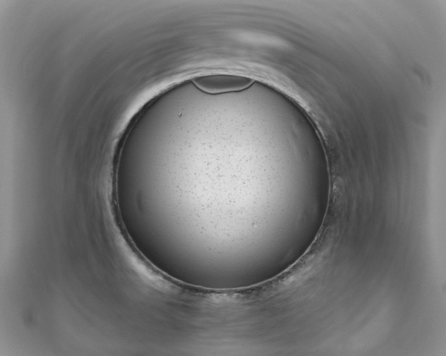 X0000111011523200906261509