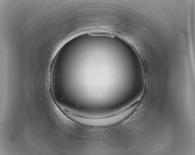 X0000111011524200906261509