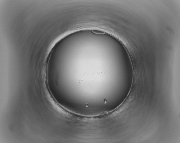 X0000111011526200906261509