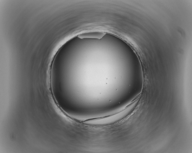 X0000111011528200906261509